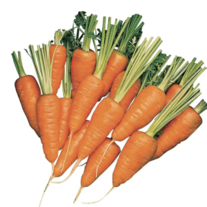 Semillas de zanahoria ’Short ‘n Sweet’